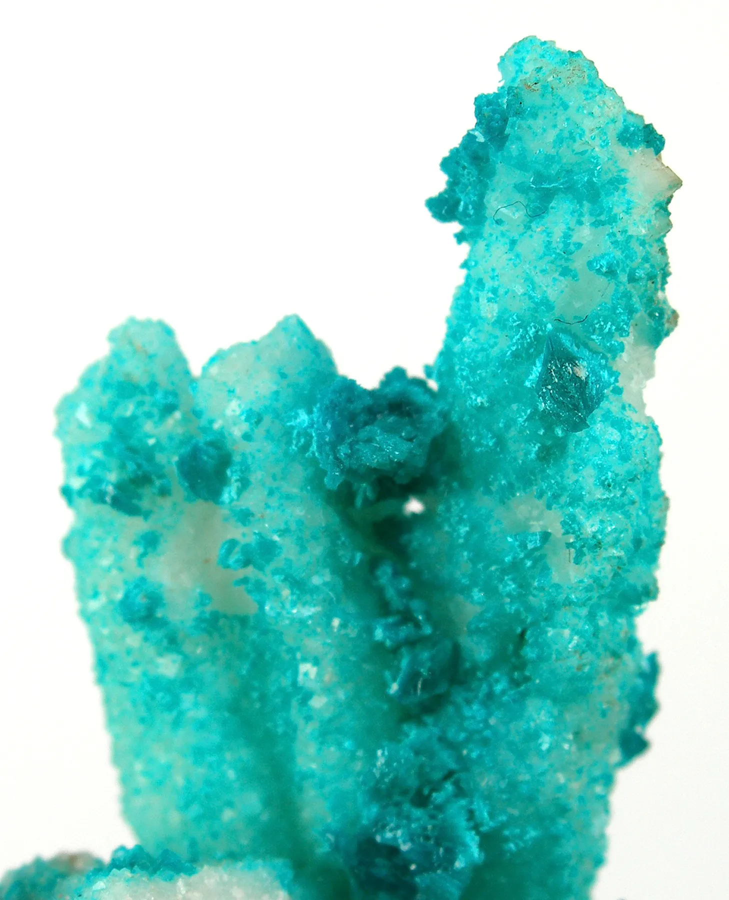 Rosasite on Calcite - image 3