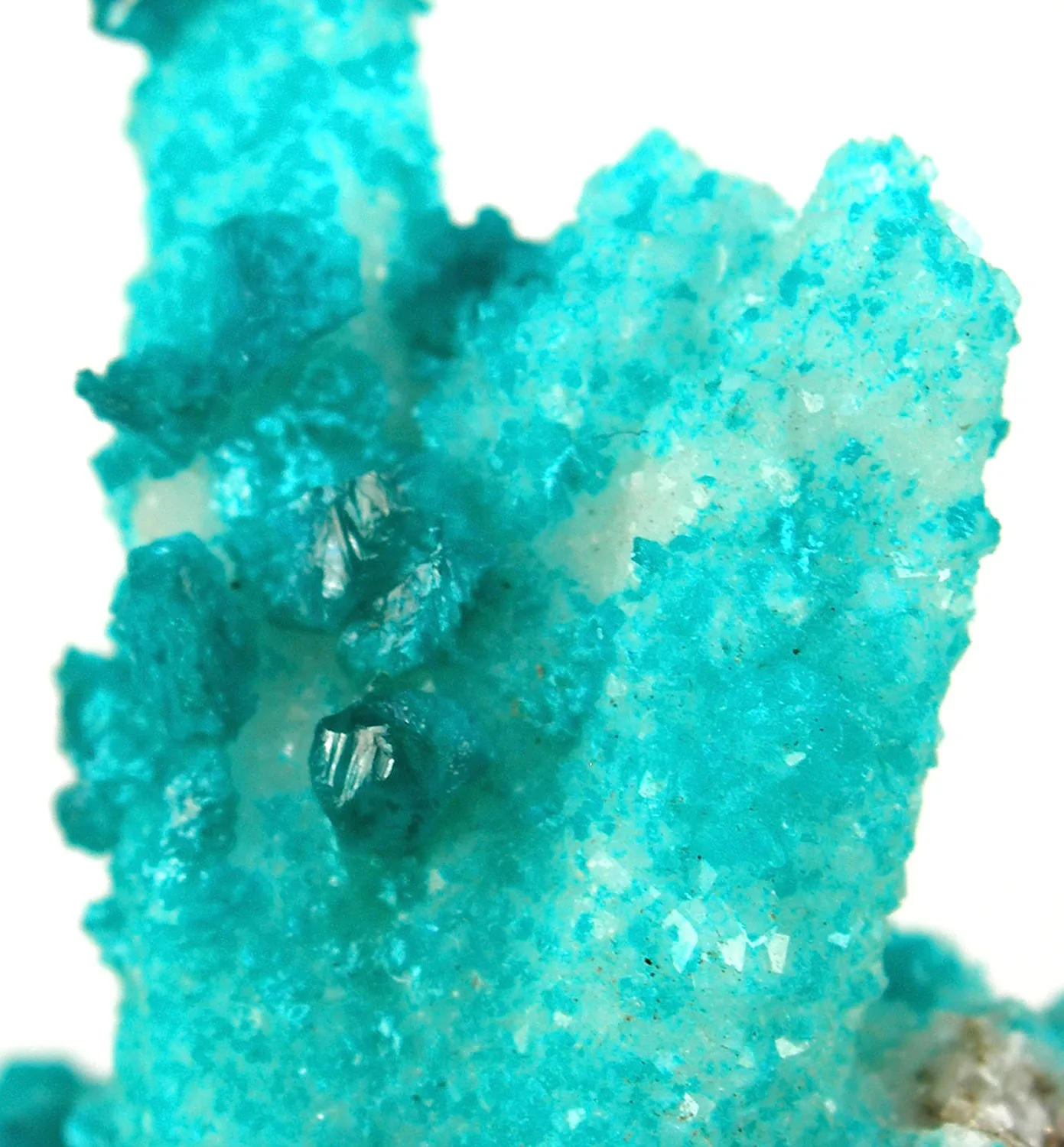 Rosasite on Calcite - image 4