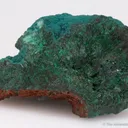 Rosasite on Malachite - image 4