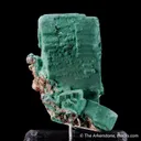 Rosasite ps. Malachite ps. Azurite - image 4