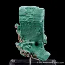Rosasite ps. Malachite ps. Azurite - image 3