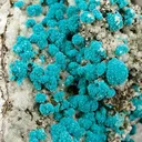 Rosasite, Smithsonite - image 2