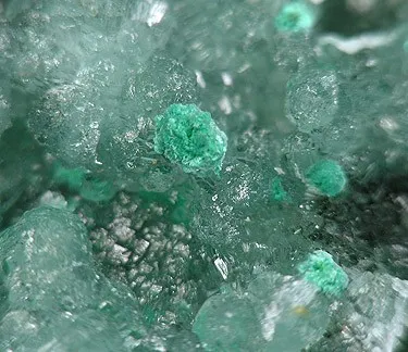 Rosasite, Willemite - image 2