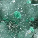 Rosasite, Willemite - image 2
