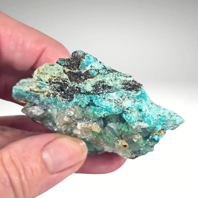Rosasite with Smithsonite from Mexico, Durango, Mapimí, Ojuela Mine - image 5