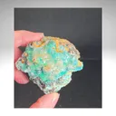 specimen video