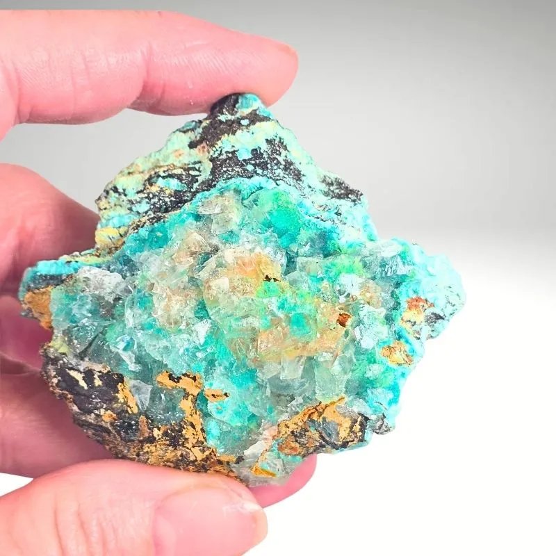 Rosasite with Smithsonite from Mexico, Durango, Mapimí, Ojuela Mine - image 10