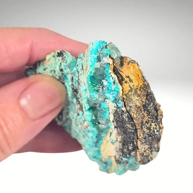 Rosasite with Smithsonite from Mexico, Durango, Mapimí, Ojuela Mine - image 3