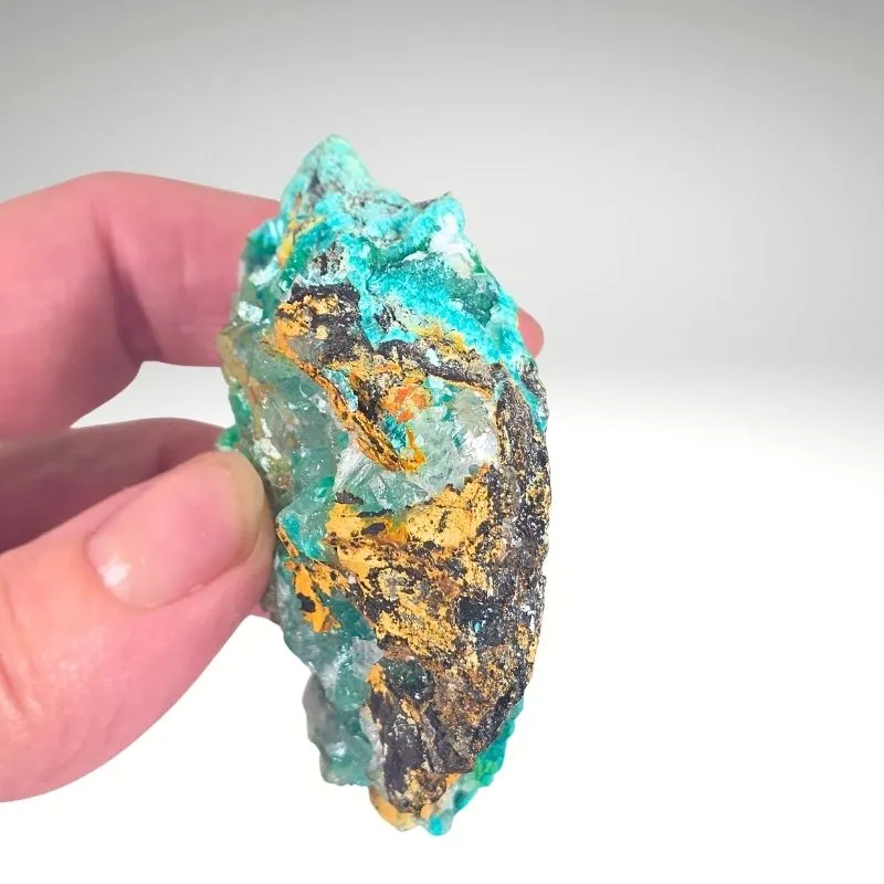 Rosasite with Smithsonite from Mexico, Durango, Mapimí, Ojuela Mine - image 4