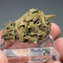 Roscherite with Childrenite - image 2