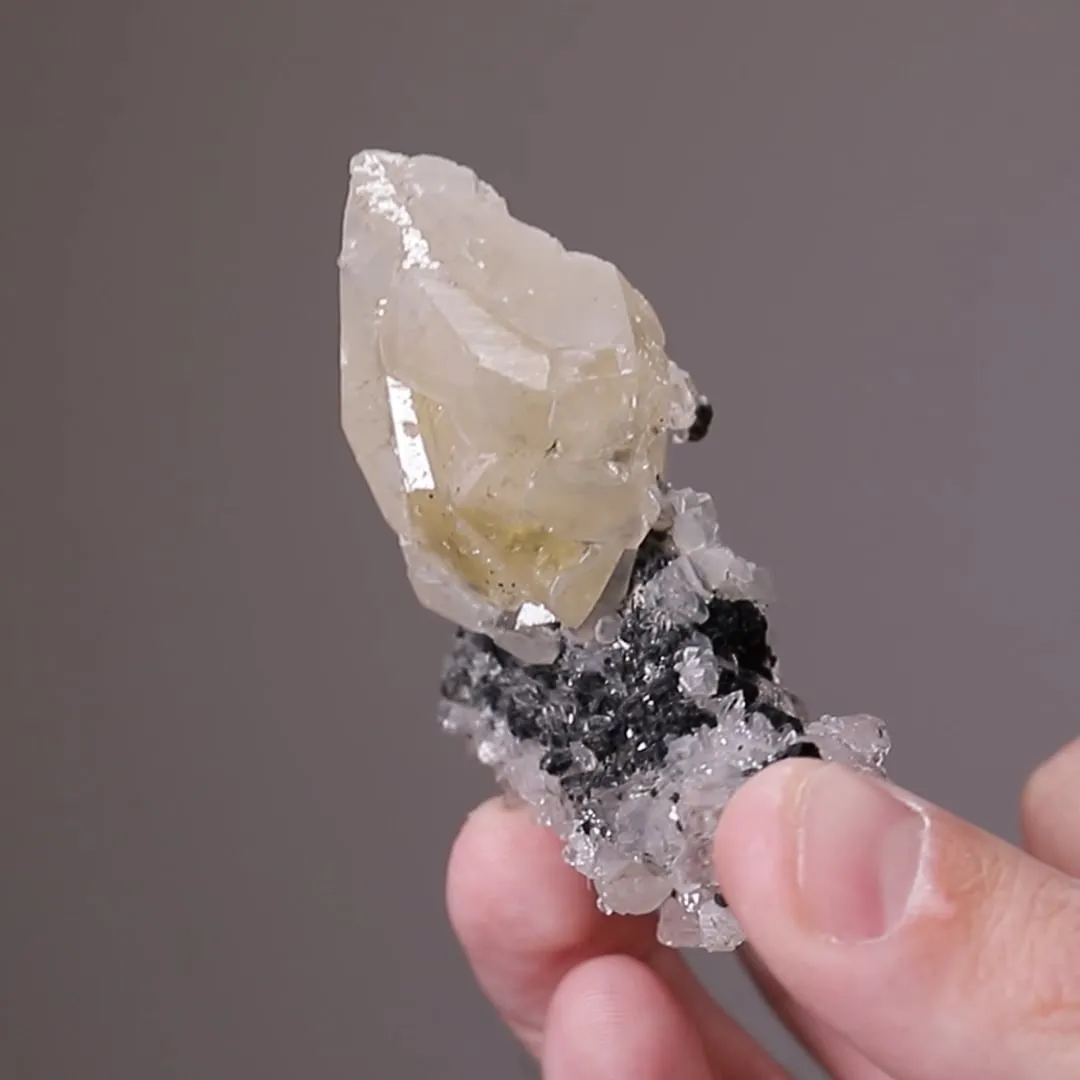 ROSCOELITE with Calcite and Quartz - image 2