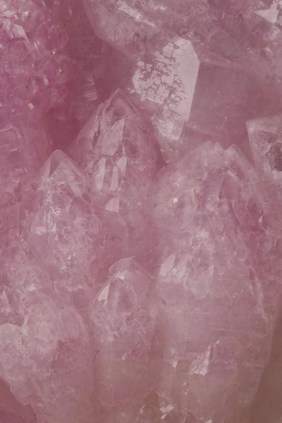 Rose Quartz - image 4