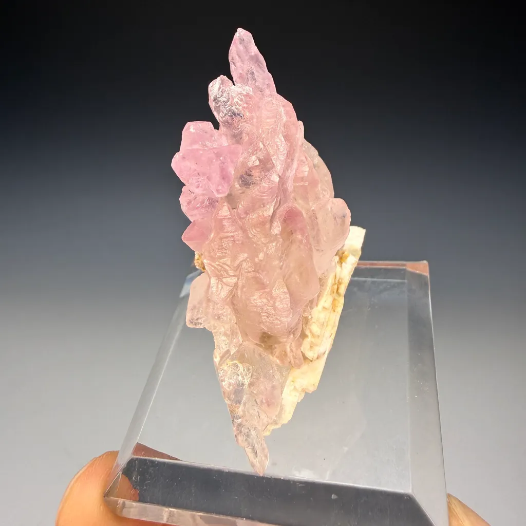 Rose Quartz image