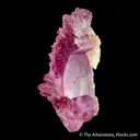 Rose Quartz - image 4