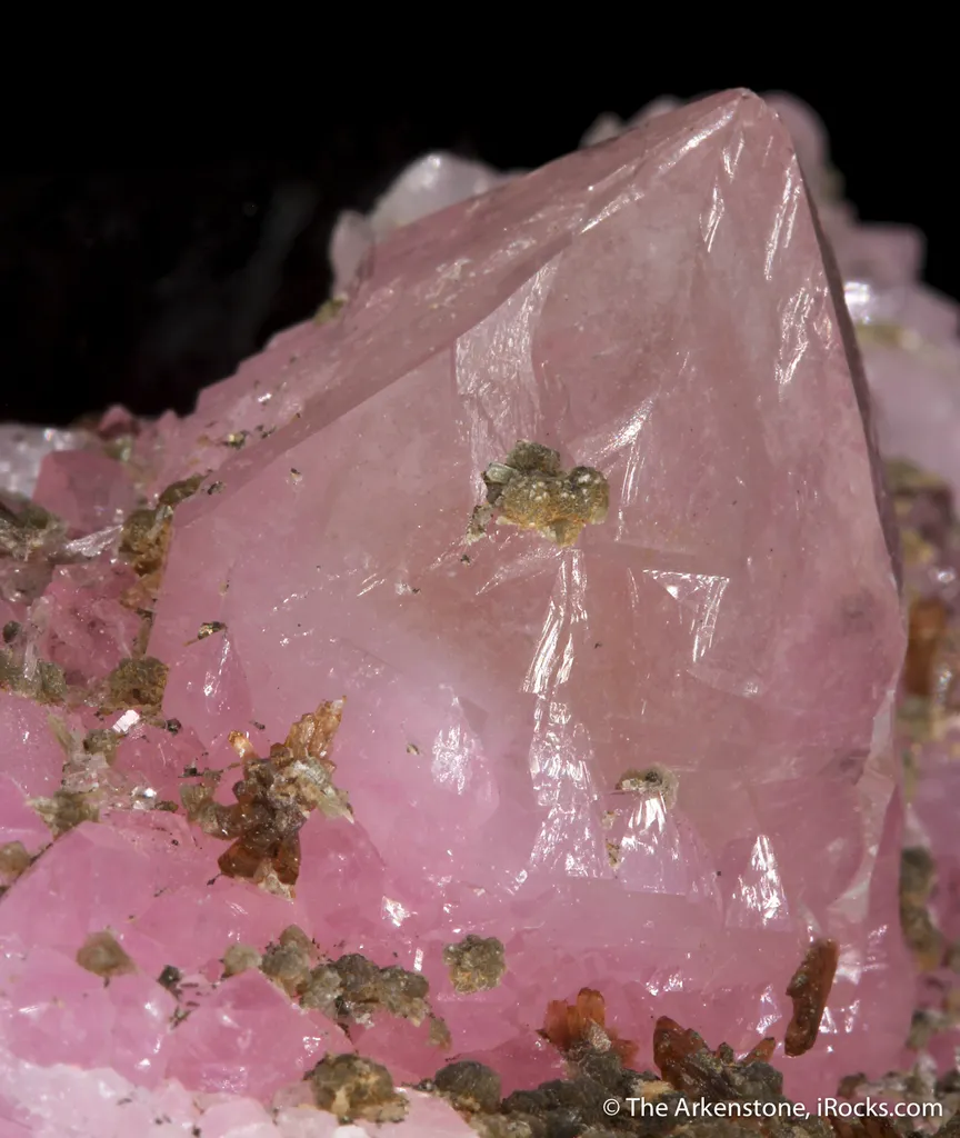 Rose Quartz, Eosphorite, Zanazziite  (illustrated) - image 5