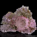 Rose Quartz, Eosphorite, Zanazziite  (illustrated) - image 3
