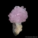 Rose Quartz flower atop Quartz  (illustrated) - image 1
