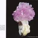 Rose Quartz flower atop Quartz  (illustrated) - image 4