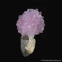 Rose Quartz flower atop Quartz  (illustrated) - image 2