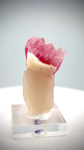 specimen video