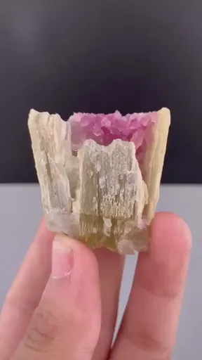 specimen video