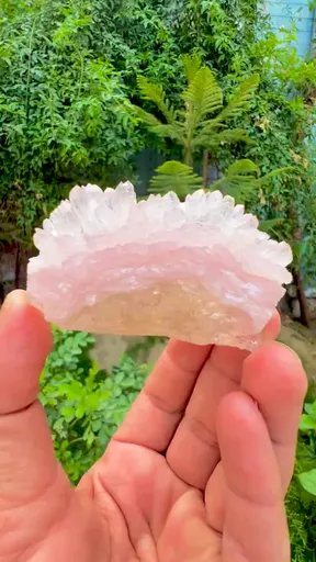 specimen video