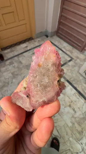 specimen video