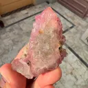 specimen video