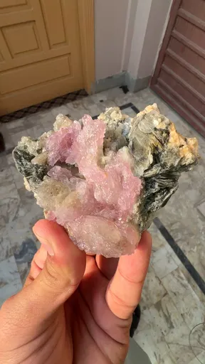 specimen video