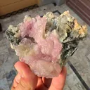 specimen video