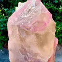 Rose quartz from Afghanistan, Nuristan, Paprok - image 2