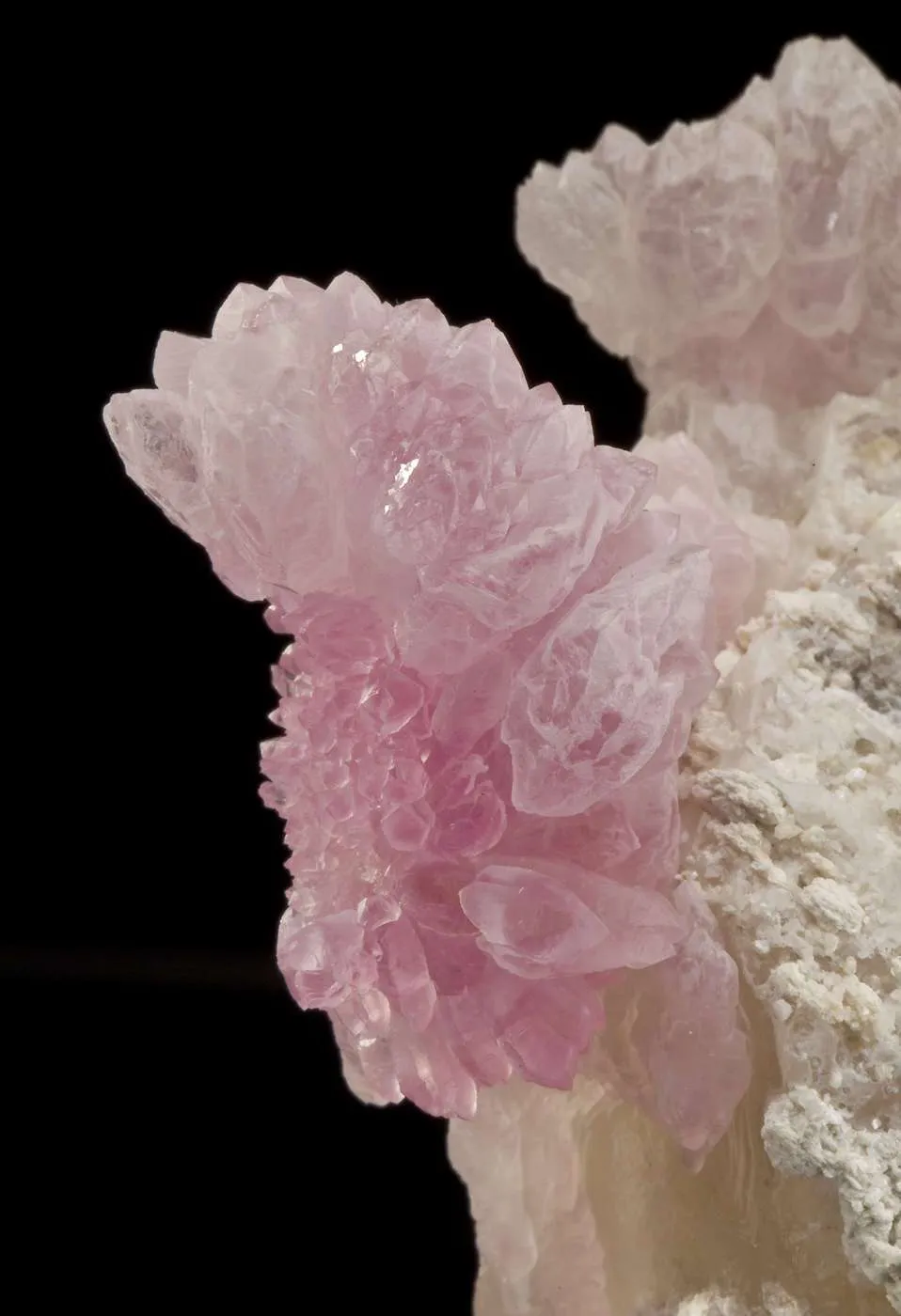 Rose Quartz on Quartz - image 4