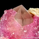 Rose Quartz on Quartz with Muscovite - image 6