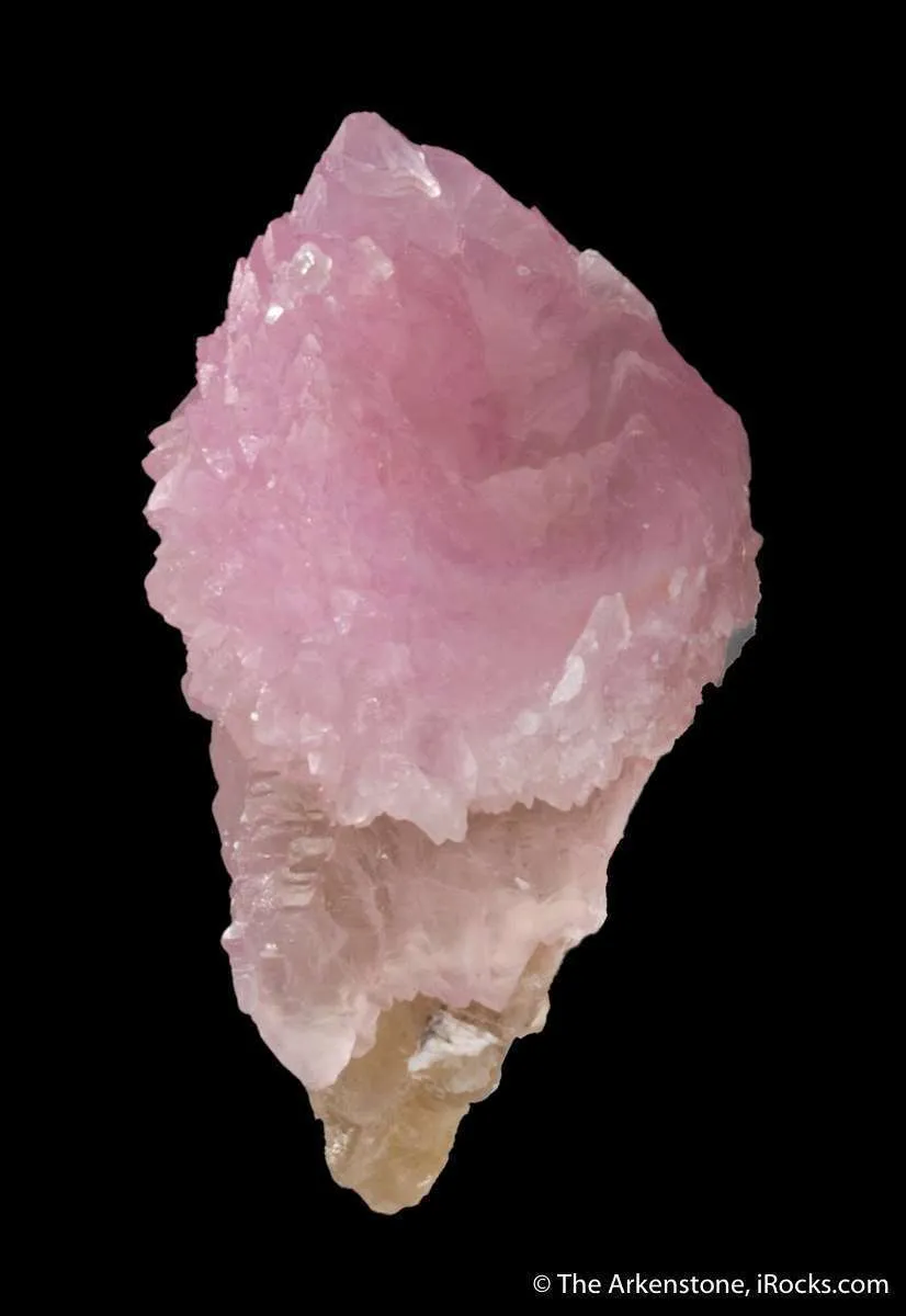 Rose Quartz scepter on Quartz - image 4
