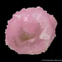 Rose Quartz scepter on Quartz - image 2