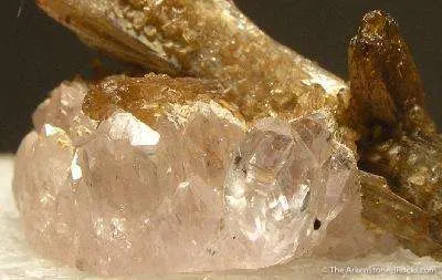 Rose Quartz W/Eosphorite - image 2