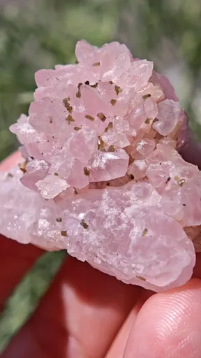 specimen video