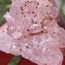 specimen video