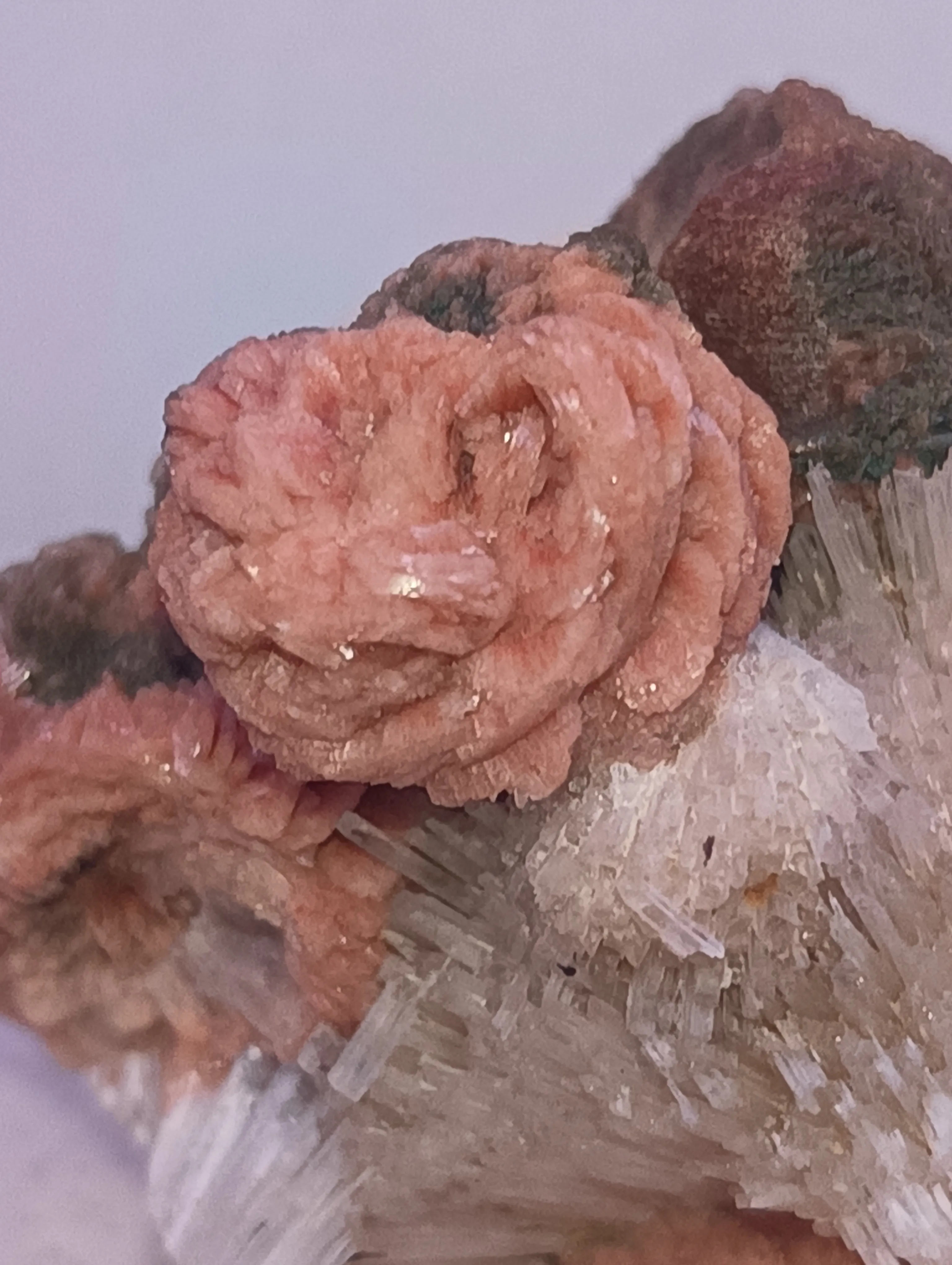 Rose stilbite scolocites - image 4