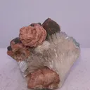 Rose stilbite scolocites - image 2