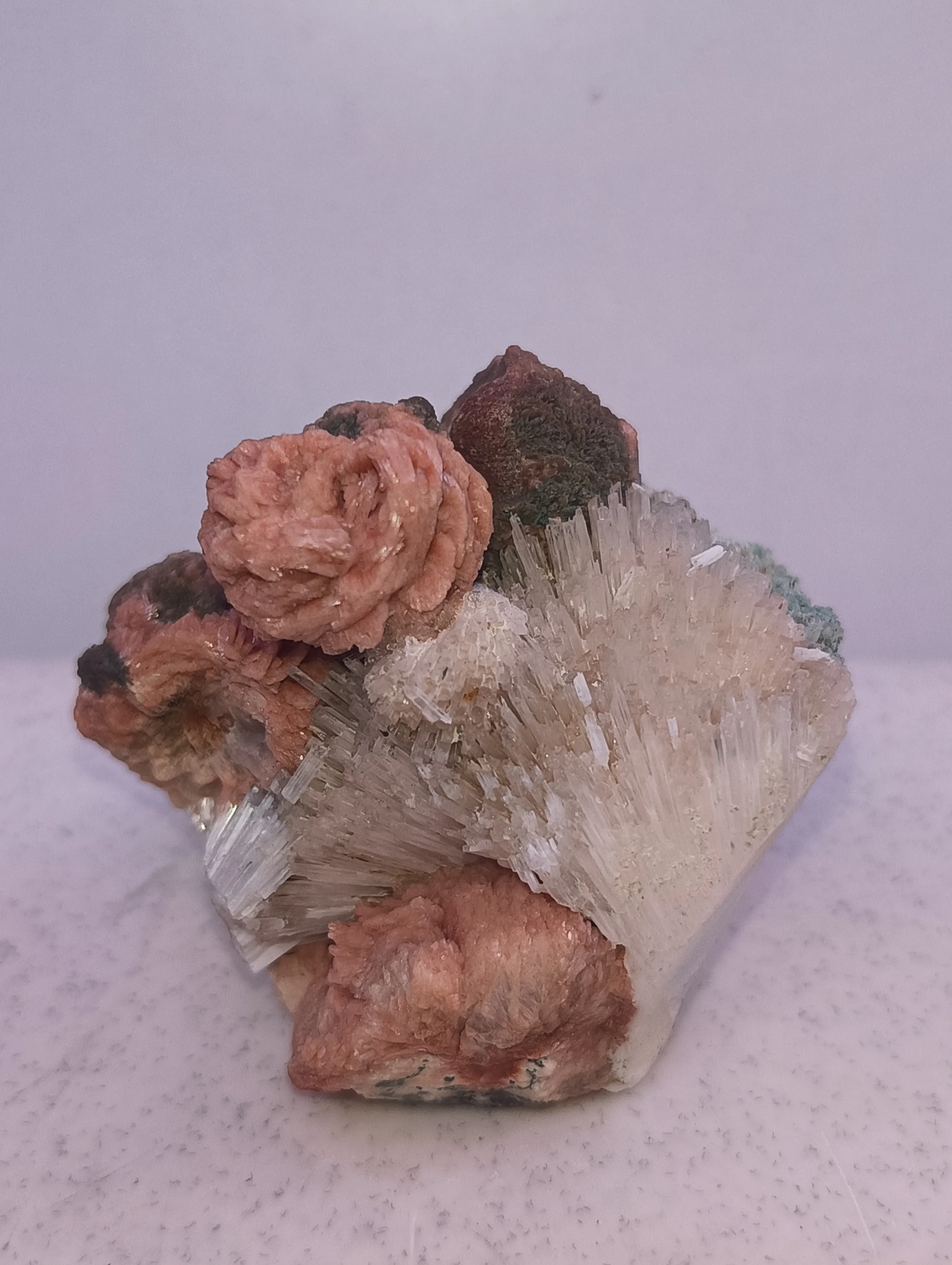 Rose stilbite scolocites - image 2