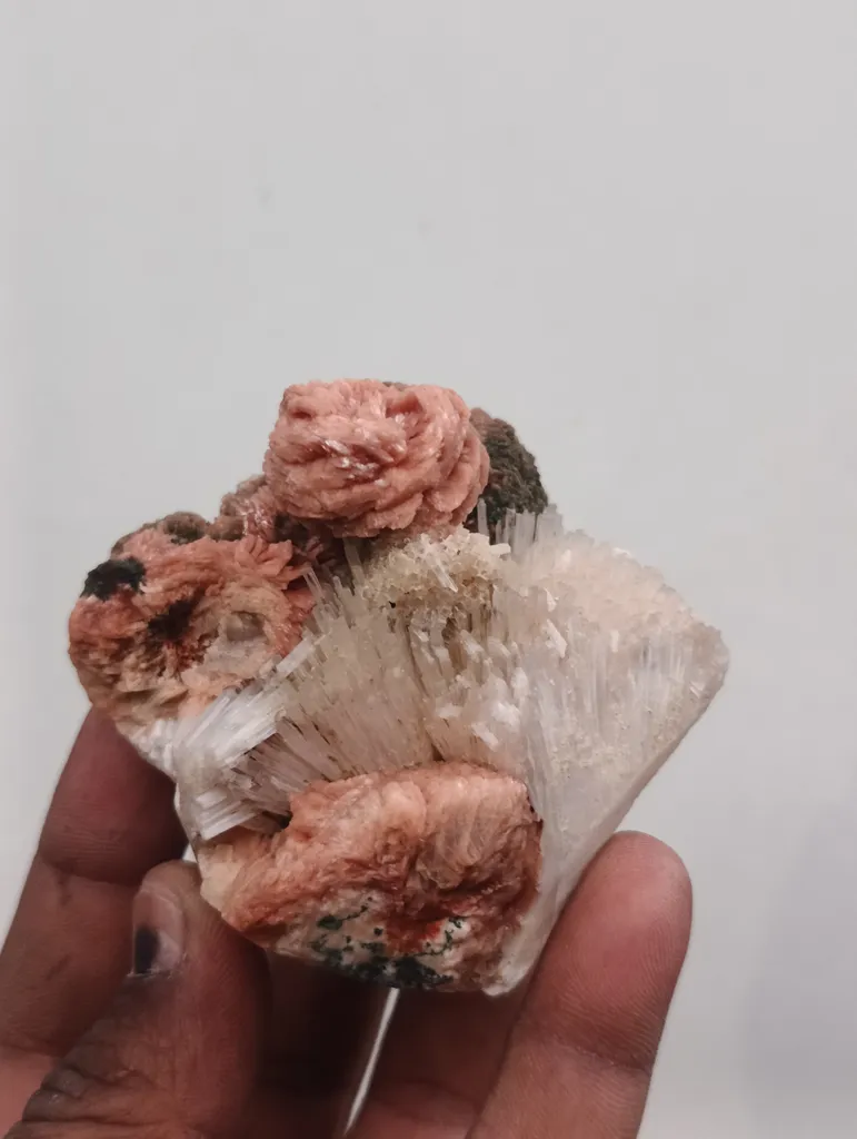 Rose stilbite scolocites - image 3