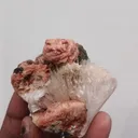 Rose stilbite scolocites - image 3