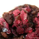 Roselite - image 2