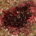 Roselite - image 2
