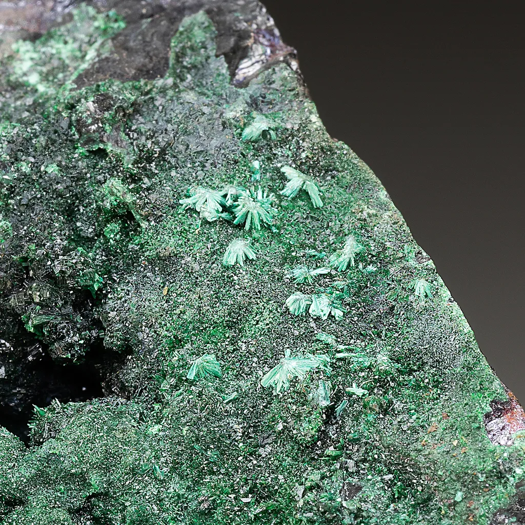 Rouaite with Cuprite, Malachite image