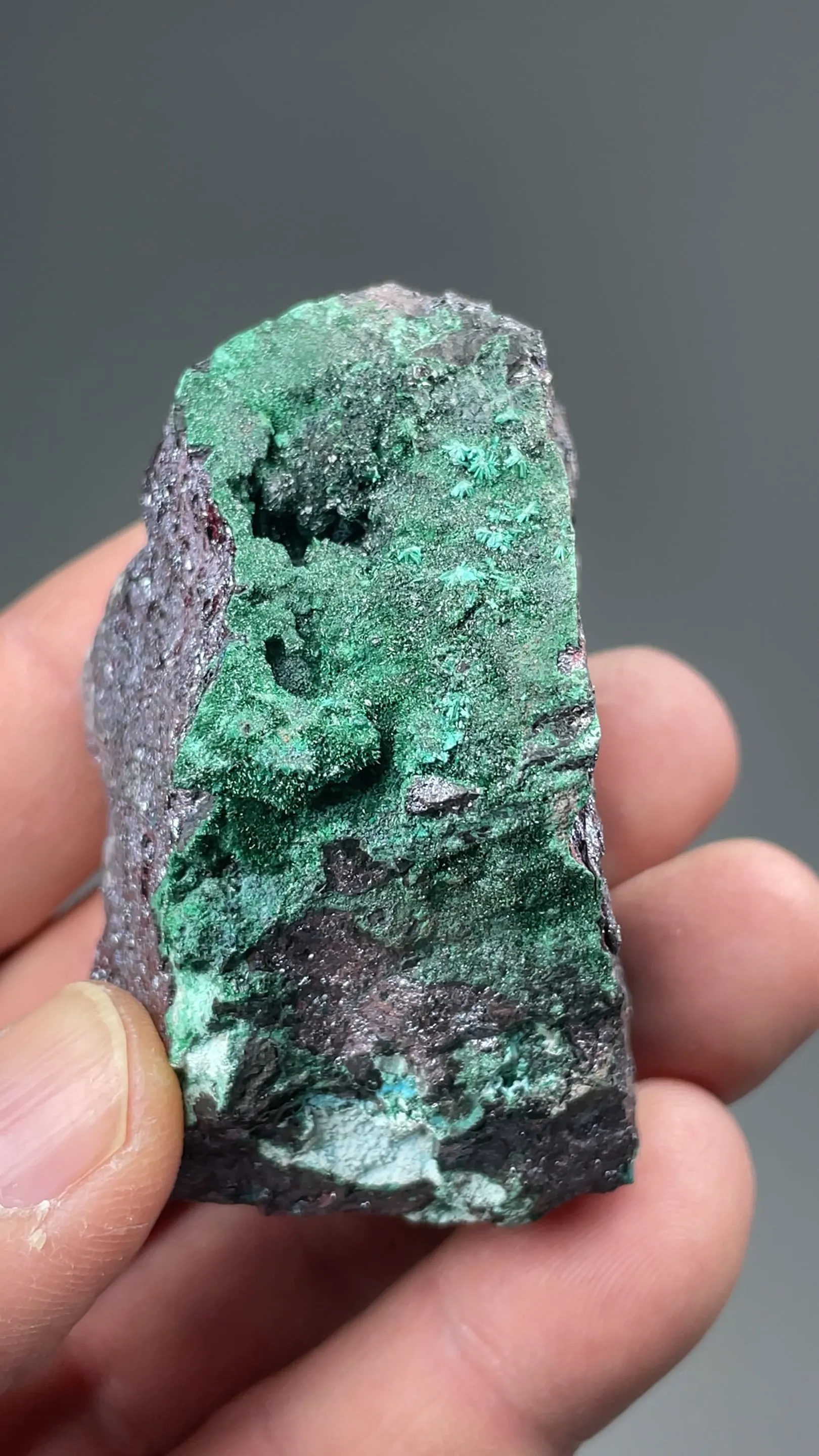Rouaite with Cuprite, Malachite - image 2