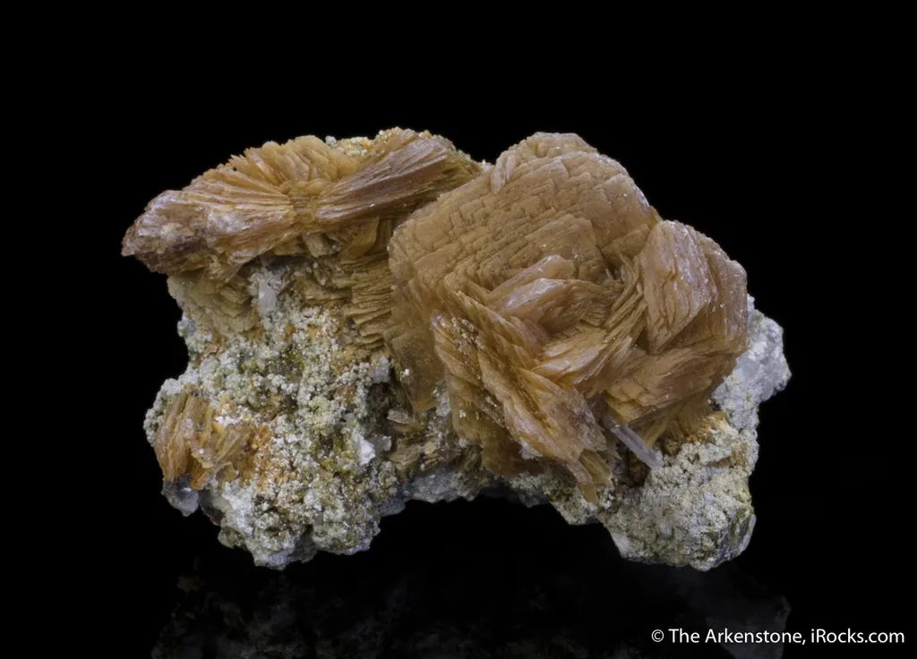 Roweite - image 7