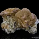 Roweite - image 7