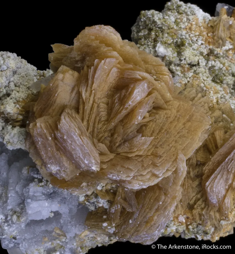 Roweite - image 2